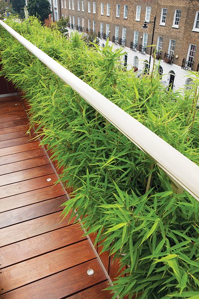 Landscaping Roof Terraces
Garden Design
Calimesa, CA