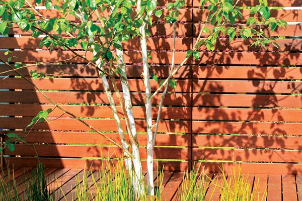 Landscaping Roof Terraces
Garden Design
Calimesa, CA