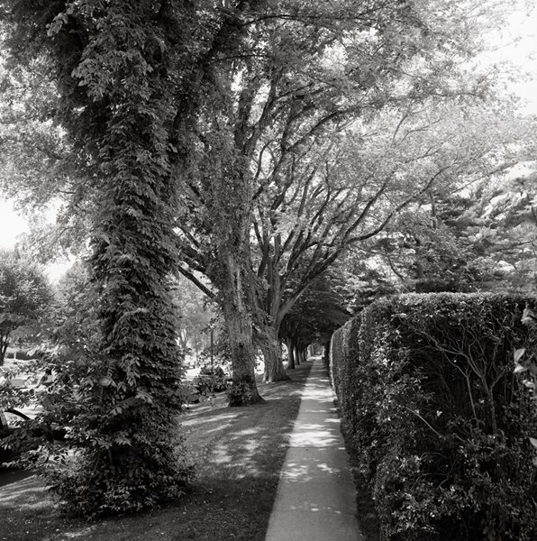 Landslide: Every Tree Tells a Story
Garden Design
Calimesa, CA