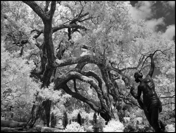 Landslide: Every Tree Tells a Story
Garden Design
Calimesa, CA