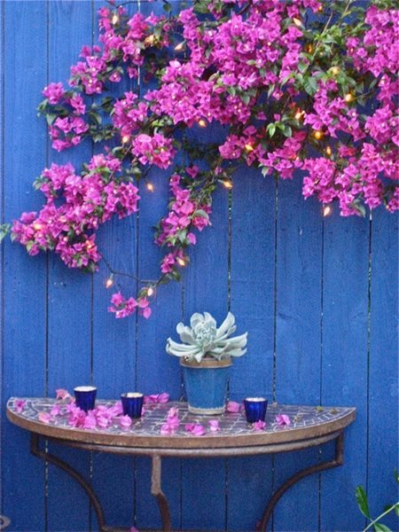 Laura Morton Creates a Magical Outdoor Space
Garden Design
Calimesa, CA