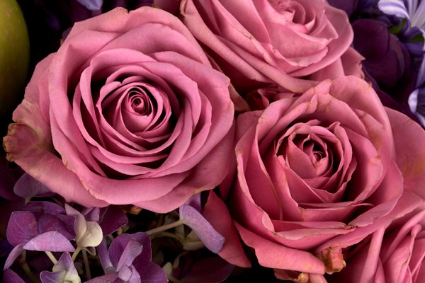 Lee James — Floral Design
Garden Design
Calimesa, CA