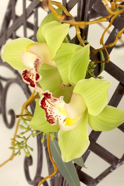 Lee James — Floral Design
Garden Design
Calimesa, CA