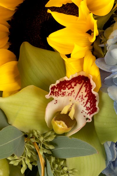 Lee James — Floral Design
Garden Design
Calimesa, CA