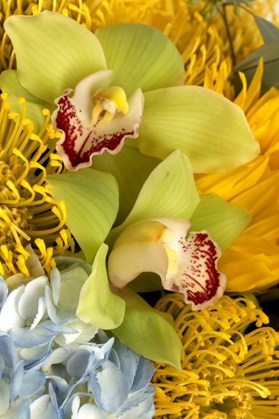 Lee James — Floral Design
Garden Design
Calimesa, CA