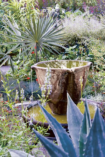 Lessons from Chanticleer
Garden Design
Calimesa, CA
