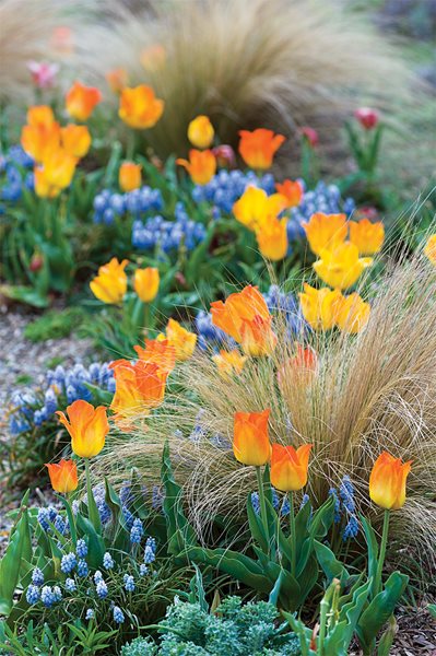 Lessons from Chanticleer
Garden Design
Calimesa, CA