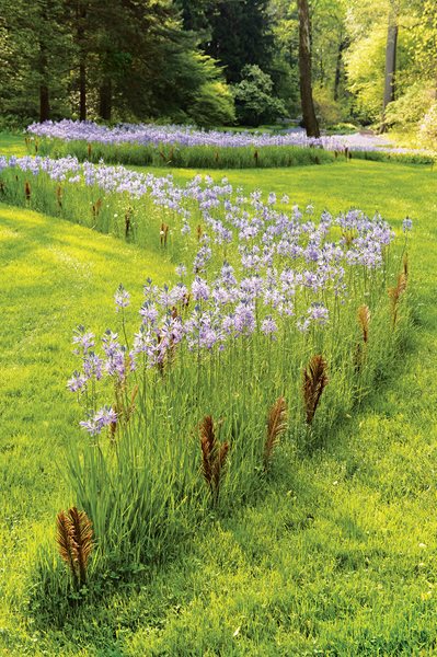 Lessons from Chanticleer
Garden Design
Calimesa, CA