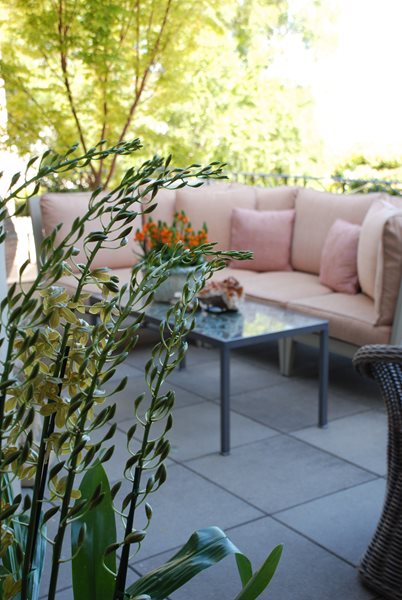Living Green's terrace at the San Francisco Decorator Showcase
Garden Design
Calimesa, CA