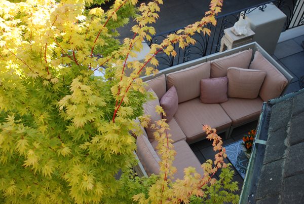 Living Green's terrace at the San Francisco Decorator Showcase
Garden Design
Calimesa, CA