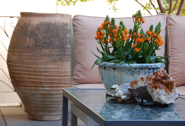 Living Green's terrace at the San Francisco Decorator Showcase
Garden Design
Calimesa, CA