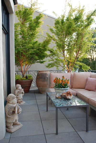 Living Green's terrace at the San Francisco Decorator Showcase
Garden Design
Calimesa, CA