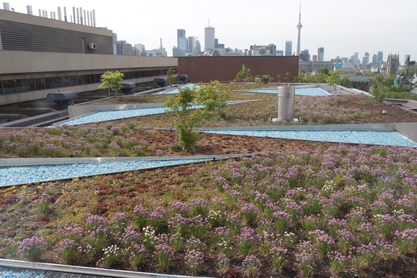 Liza's Garden, on the rooftop at the Royal Ontario Museum
Garden Design
Calimesa, CA