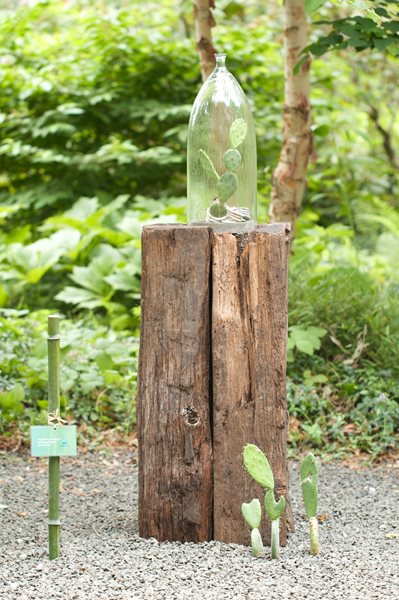 LongHouse Reserve Planters: On & Off the Ground Competition Winners
Garden Design
Calimesa, CA