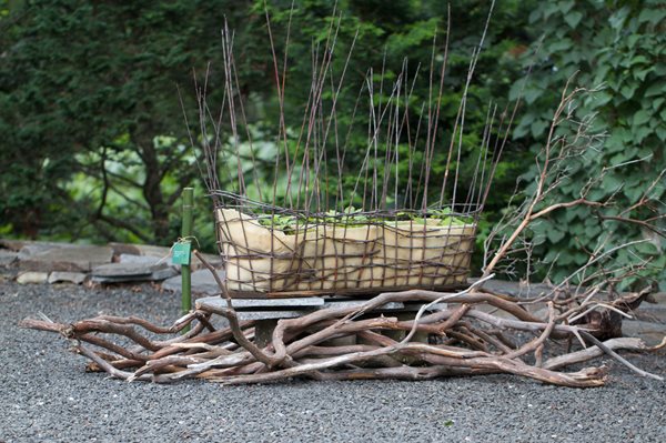LongHouse Reserve Planters: On & Off the Ground Competition Winners
Garden Design
Calimesa, CA