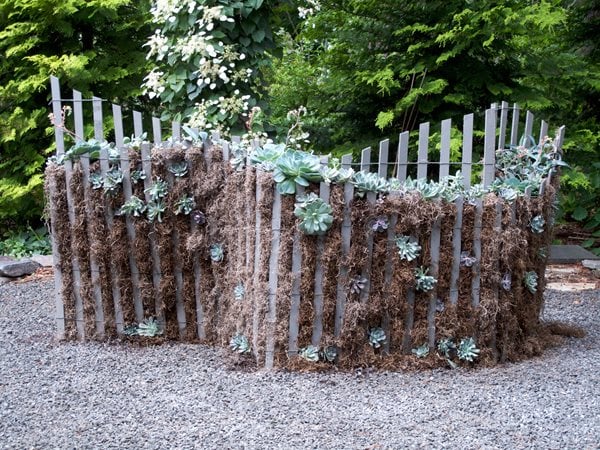 LongHouse Reserve Planters: On & Off the Ground Competition Winners
Garden Design
Calimesa, CA