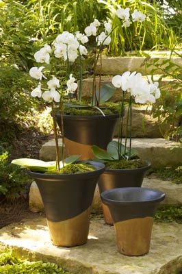 Louisville Stoneware Garden Containers
Garden Design
Calimesa, CA