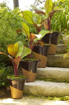 Louisville Stoneware Garden Containers
Garden Design
Calimesa, CA