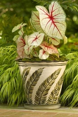 Louisville Stoneware Garden Containers
Garden Design
Calimesa, CA