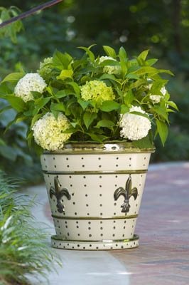 Louisville Stoneware Garden Containers
Garden Design
Calimesa, CA