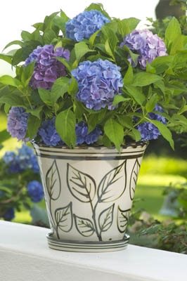 Louisville Stoneware Garden Containers
Garden Design
Calimesa, CA