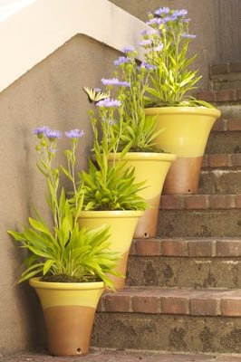 Louisville Stoneware Garden Containers
Garden Design
Calimesa, CA