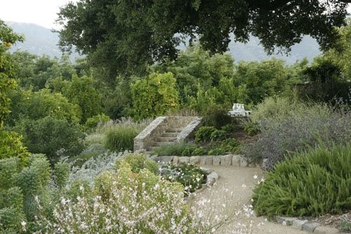 Mary Steenburgen and Ted Danson's Ojai, California Garden
Garden Design
Calimesa, CA