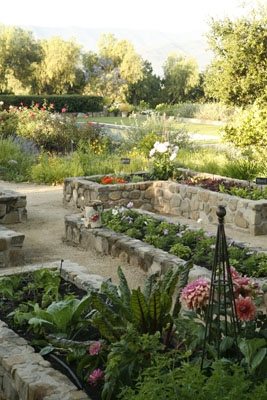 Mary Steenburgen and Ted Danson's Ojai, California Garden
Garden Design
Calimesa, CA