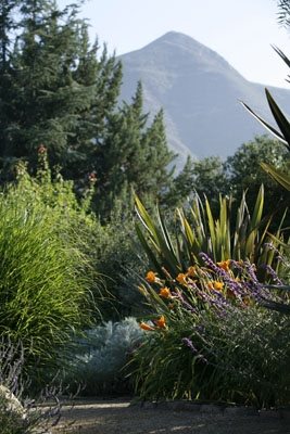 Mary Steenburgen and Ted Danson's Ojai, California Garden
Garden Design
Calimesa, CA