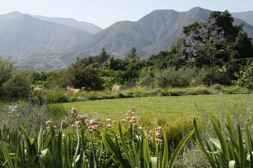 Mary Steenburgen and Ted Danson's Ojai, California Garden
Garden Design
Calimesa, CA