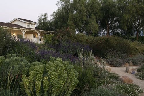 Mary Steenburgen and Ted Danson's Ojai, California Garden
Garden Design
Calimesa, CA