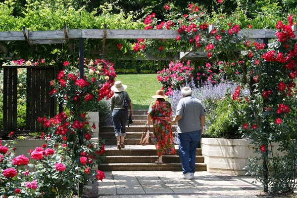 Maryland's Gardens & Inns
Garden Design
Calimesa, CA
