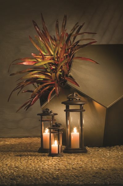 Metallic Outdoor Furniture & Decor
Garden Design
Calimesa, CA