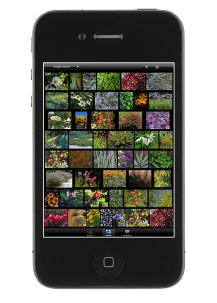 Mobile App Makes Plant Selection Easier than Ever
Garden Design
Calimesa, CA