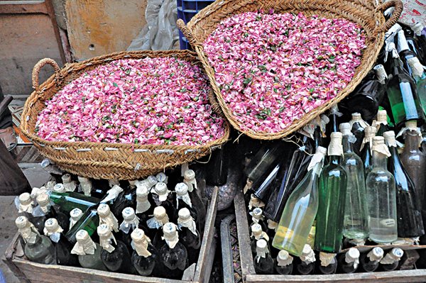 Morocco On My Mind - Flowers
Garden Design
Calimesa, CA