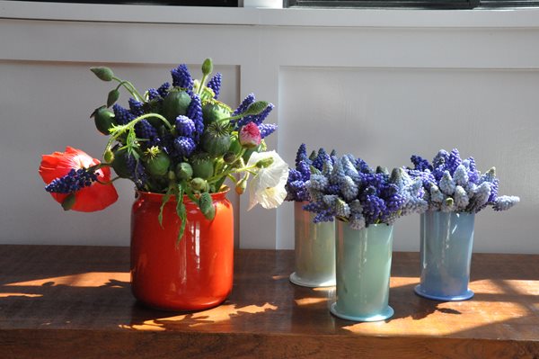Muscari for Mother's Day
Garden Design
Calimesa, CA