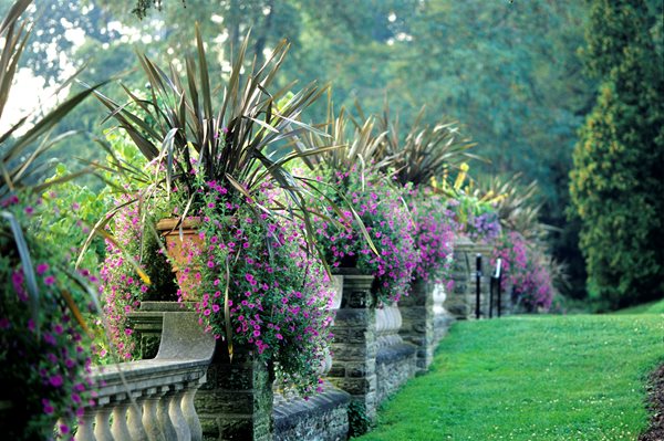 National Public Gardens
Garden Design
Calimesa, CA
