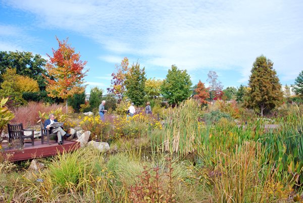 National Public Gardens
Garden Design
Calimesa, CA