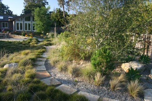 Native Plants
Garden Design
Calimesa, CA