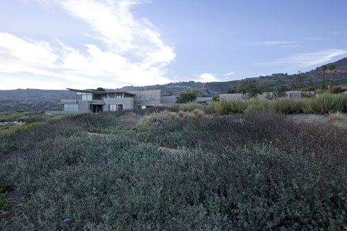 Native Plants
Garden Design
Calimesa, CA