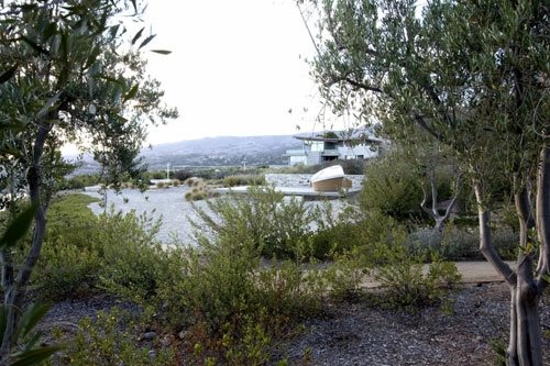 Native Plants
Garden Design
Calimesa, CA
