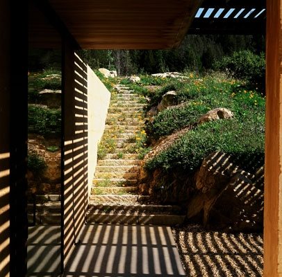 Native Plants
Garden Design
Calimesa, CA