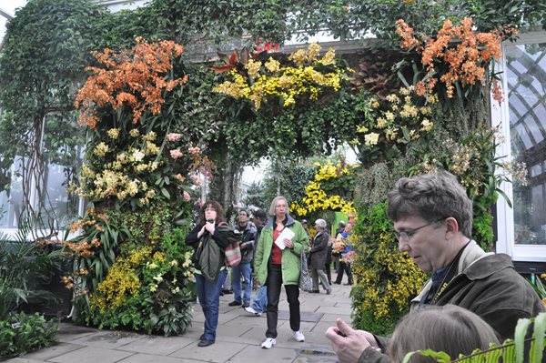 NYBG Orchid Show: Patrick Blanc
Garden Design
Calimesa, CA