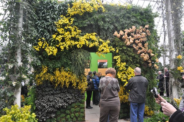 NYBG Orchid Show: Patrick Blanc
Garden Design
Calimesa, CA