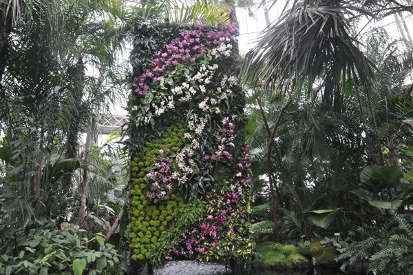 NYBG Orchid Show: Patrick Blanc
Garden Design
Calimesa, CA