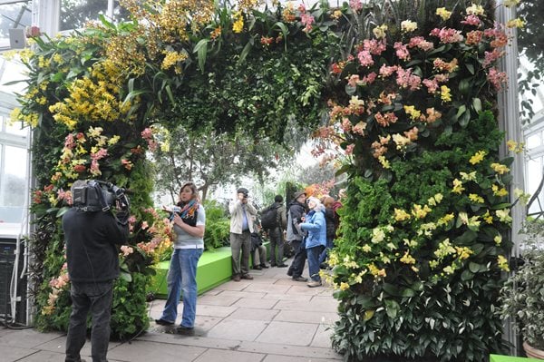 NYBG Orchid Show: Patrick Blanc
Garden Design
Calimesa, CA