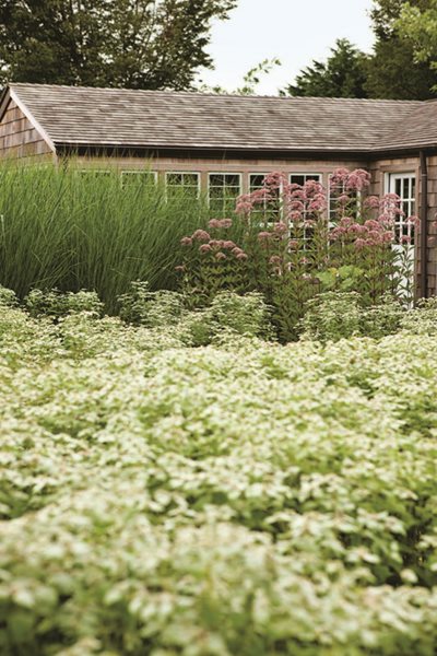 Oehme, van Sweden Hamptons Garden
Garden Design
Calimesa, CA