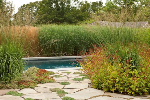 Oehme, van Sweden Hamptons Garden
Garden Design
Calimesa, CA