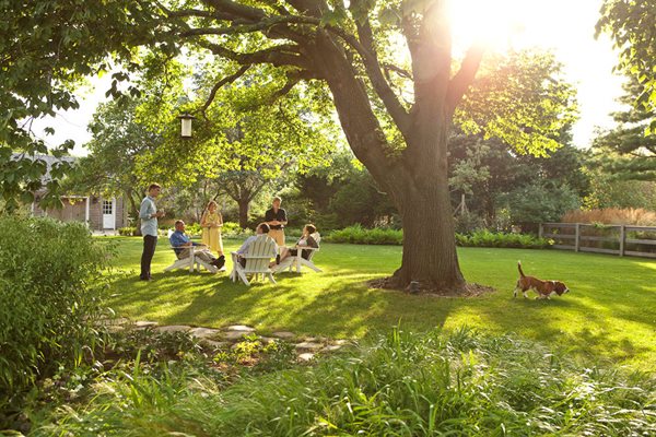 Oehme, van Sweden Hamptons Garden
Garden Design
Calimesa, CA