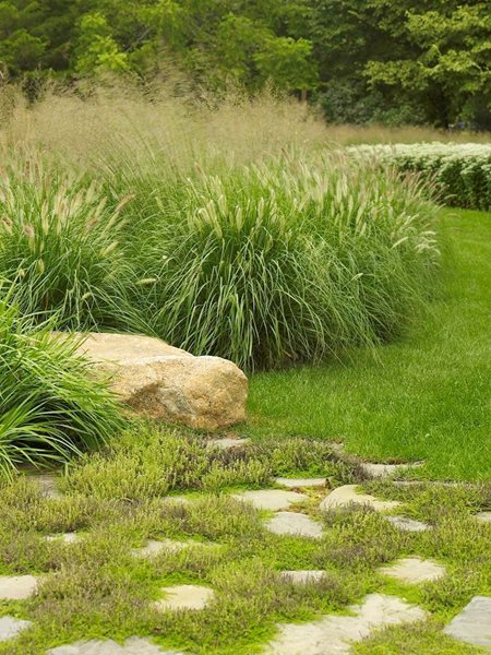 Oehme, van Sweden Hamptons Garden
Oehme, van Sweden & Associates, Inc.
Washington, DC